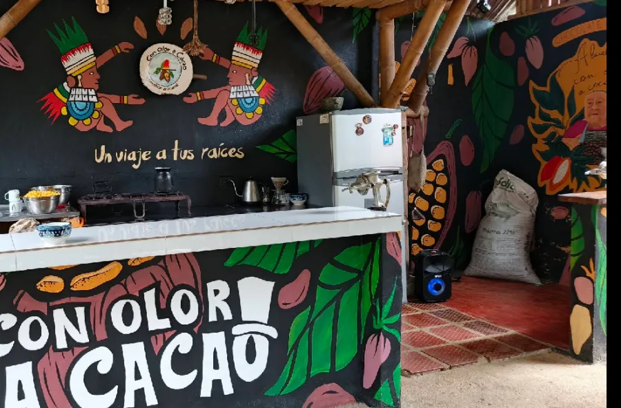 El Toche Farm cacao tour, San Rafael